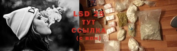 амф Богданович