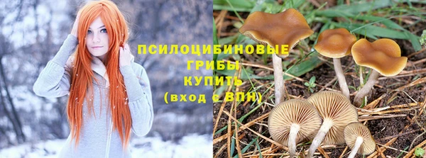 амф Богданович
