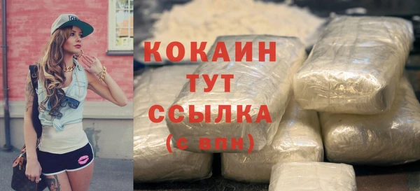 амф Богданович